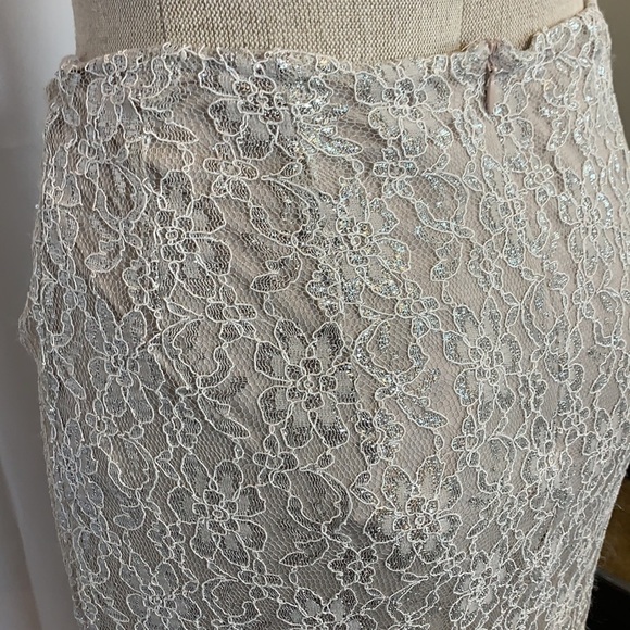 Cremieux Cody Skirt Silver/Taupe Sparkle Lined Midi Length, Lined, Size Medium - Picture 4 of 14